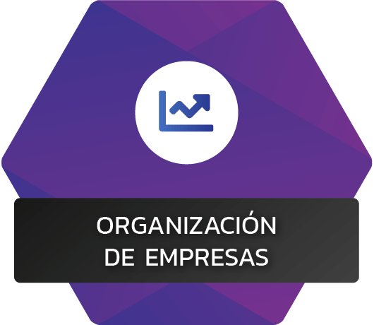 organizacion